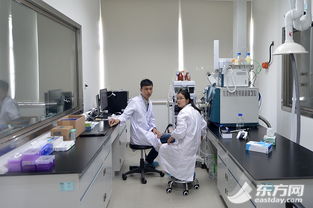 中外媒体聚焦张江 医药科技企业的创新实践如何以高科技为患者带来福音